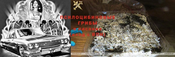 ECSTASY Алексин