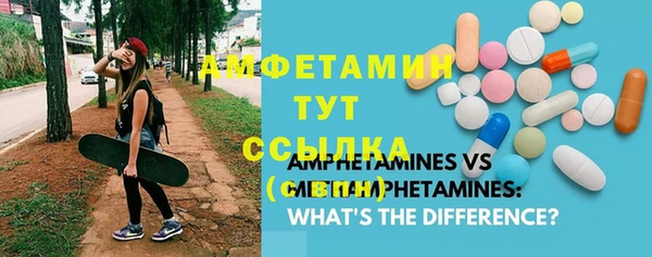 прущие грибы Алзамай