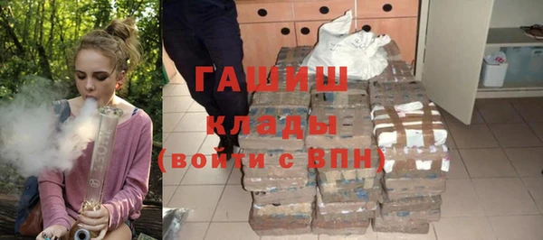 прущие грибы Алзамай