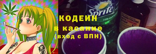 прущие грибы Алзамай